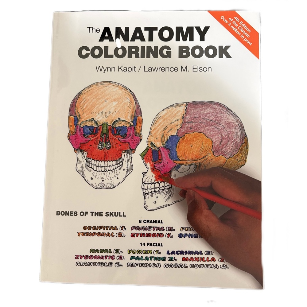 Anatomy Coloring Book